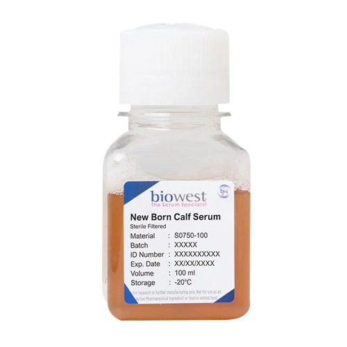 Newborn Calf Serum